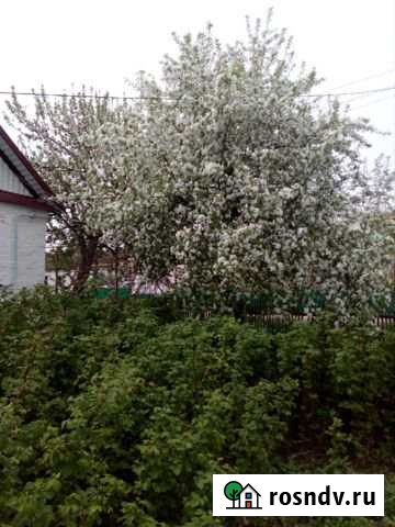 Дом 58 м² на участке 26 сот. на продажу в Раевском Раевский - изображение 1