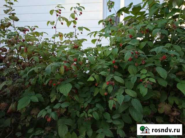 Дом 60 м² на участке 2 сот. на продажу в Магадане Магадан - изображение 1