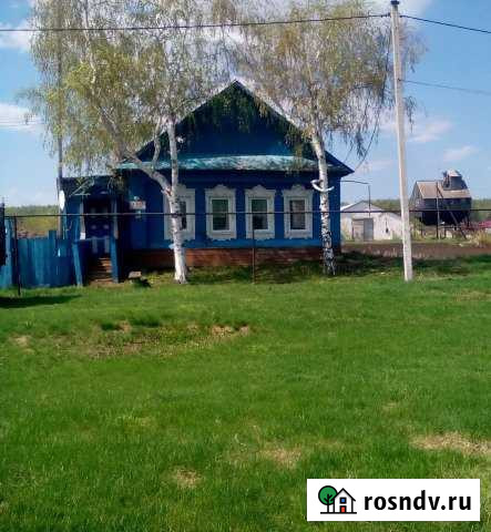 Дом 64 м² на участке 60 сот. на продажу в Борском Борское - изображение 1