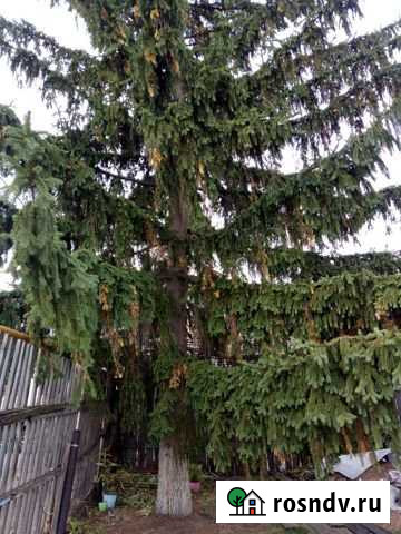 Дом 80 м² на участке 12 сот. на продажу в Новокуйбышевске Новокуйбышевск - изображение 1