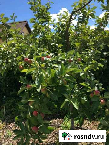 Коттедж 140 м² на участке 8 сот. на продажу в Тарусе Таруса - изображение 1