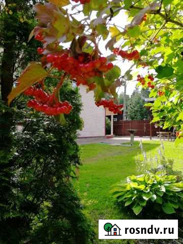 Коттедж 70 м² на участке 10 сот. в аренду на длительный срок в Сестрорецке Сестрорецк - изображение 1