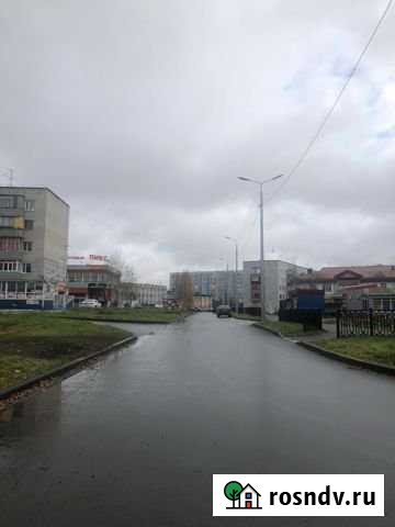 Магазинабсолют,Роза Маркет Сургут - изображение 1