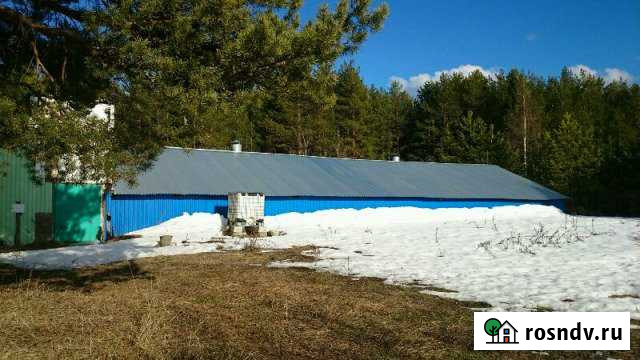 Овощехранилище Сыктывкар - изображение 1