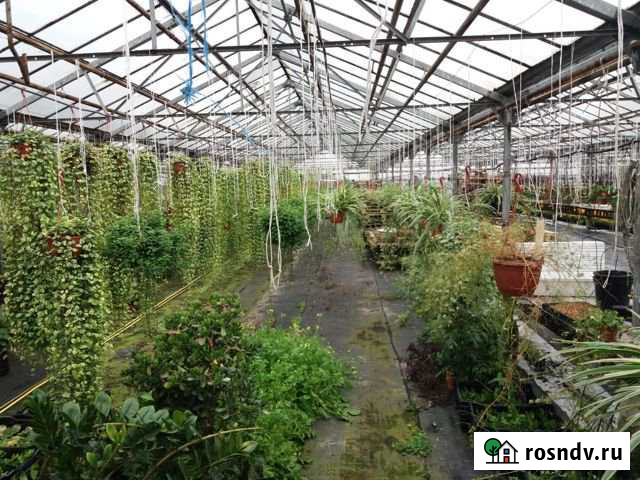 Помещение свободного назначения, 1000 кв.м. Котельники - изображение 1