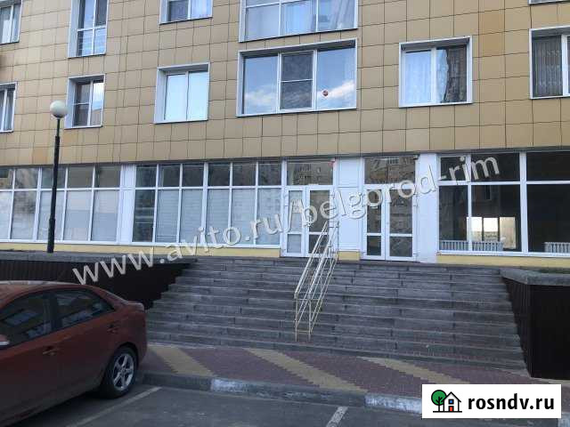 Помещение свободного назначения, 104 кв.м. Белгород - изображение 1