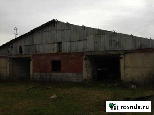 Помещение свободного назначения, 1198 кв.м. Дрезна - изображение 1