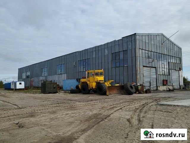 Помещение свободного назначения, 1338 кв.м. Лянтор - изображение 1