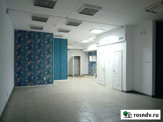 Помещение свободного назначения, 87.9 кв.м. Петрозаводск - изображение 1