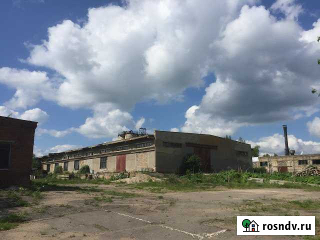 Производственно-складская база с жд веткой 3560 кв.м. Дорохово - изображение 1