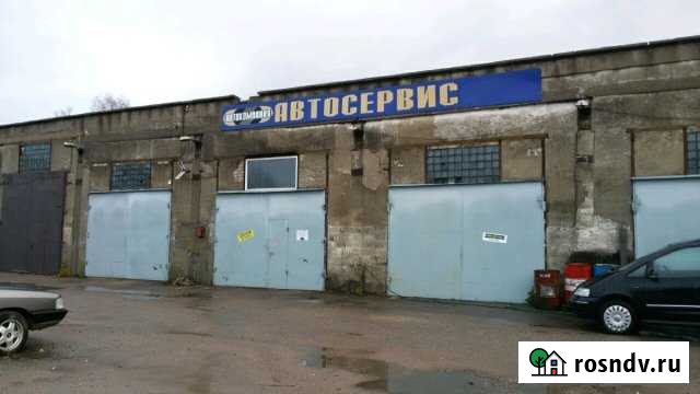 Сдаются Боксы Гусев - изображение 1