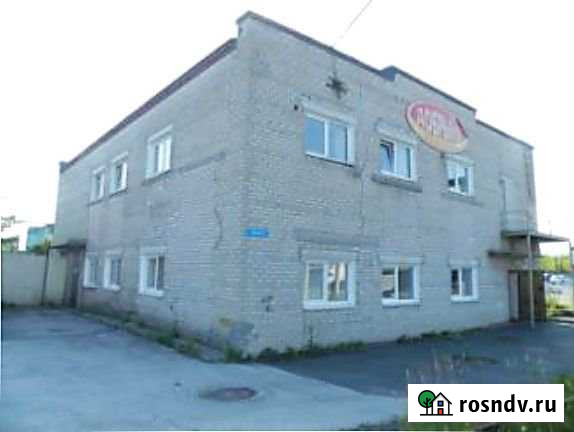 Складское помещение, 2704 кв.м. Пермь - изображение 1