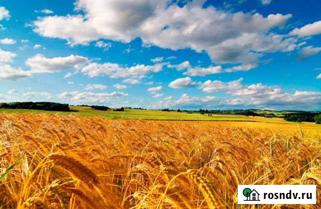 Участок СНТ, ДНП 7200 сот. на продажу в Ужуре Ужур - изображение 1