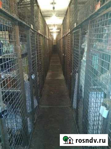 Участок СНТ, ДНП 1 сот. на продажу в Нижнем Тагиле Нижний Тагил - изображение 1