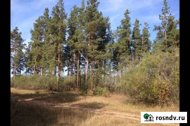 Участок ИЖС 150 сот. на продажу в Рубцовске Рубцовск - изображение 1