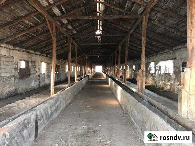 Участок СНТ, ДНП 1000 сот. на продажу в Аргудане Аргудан - изображение 1