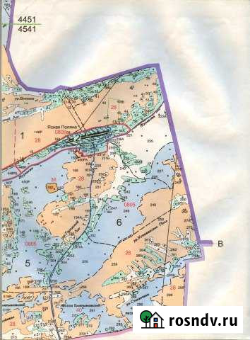 Участок СНТ, ДНП 1000 сот. на продажу в Емельяново Емельяново - изображение 1