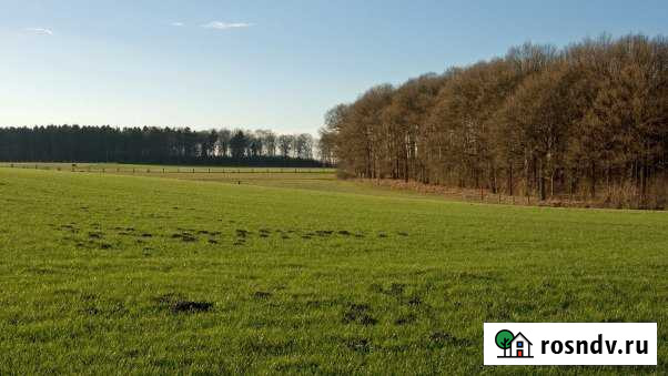 Участок ИЖС 10 сот. на продажу в Линде Линда - изображение 1