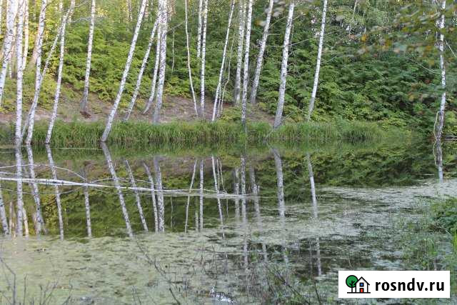 Участок ИЖС 10 сот. на продажу в Осиново Осиново - изображение 1