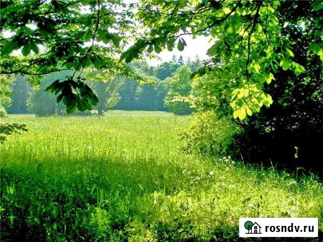 Участок ИЖС 10 сот. на продажу в Комсомольске-на-Амуре Комсомольск-на-Амуре - изображение 1