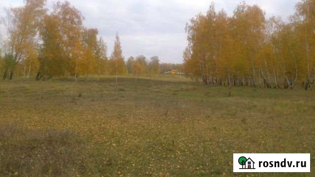 Участок СНТ, ДНП 10 сот. на продажу в Копейске Копейск - изображение 1