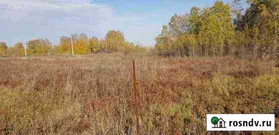 Участок ИЖС 1023 сот. на продажу в Берёзовке Алтайского края Берёзовка