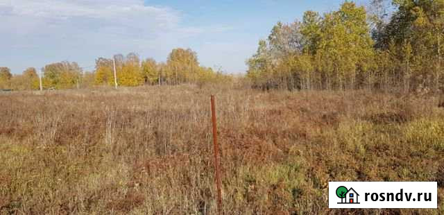 Участок ИЖС 1023 сот. на продажу в Берёзовке Алтайского края Берёзовка - изображение 1