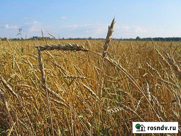 Участок СНТ, ДНП 10000 сот. на продажу в Верхнем Услоне Верхний Услон - изображение 1