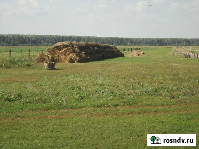 Участок СНТ, ДНП 10000 сот. на продажу в Йошкар-Оле Йошкар-Ола - изображение 1