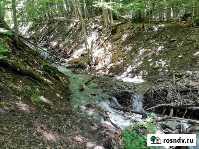 Участок СНТ, ДНП 100 сот. на продажу в Сторожевой Сторожевая - изображение 1