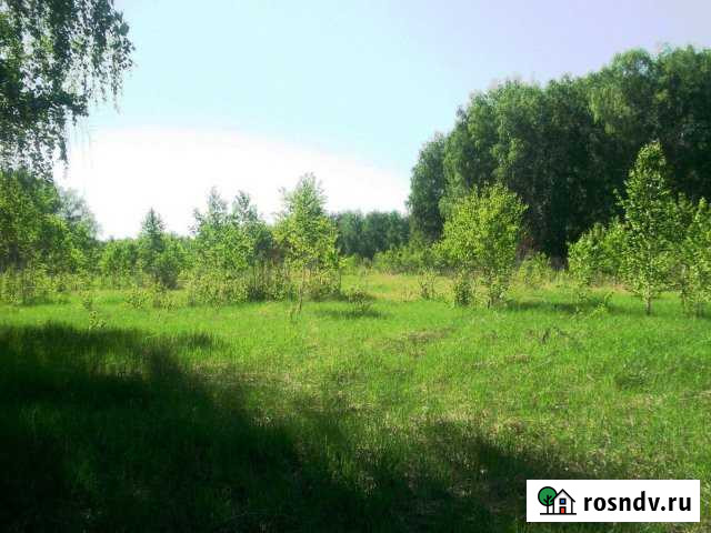 Участок СНТ, ДНП 100 сот. на продажу в Копейске Копейск - изображение 1