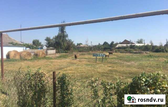 Участок ИЖС 11 сот. на продажу в Петровской Петровская - изображение 1