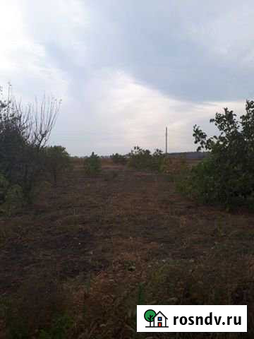 Участок ИЖС 12 сот. на продажу в Киевском Краснодарского края Киевское - изображение 1