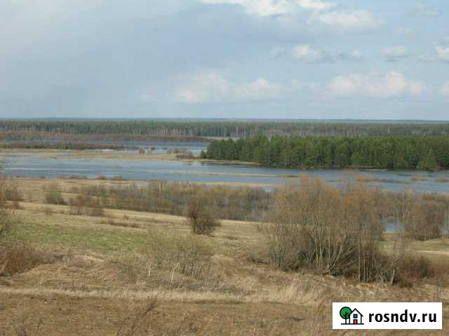 Участок ИЖС 12 сот. на продажу в Зеленце Зеленец - изображение 1