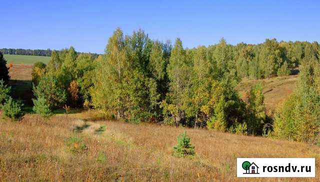 Участок ИЖС 12 сот. на продажу в Миассе Миасс - изображение 1