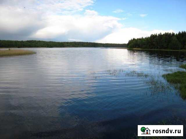 Участок ИЖС 12 сот. на продажу в Арске Арск - изображение 1