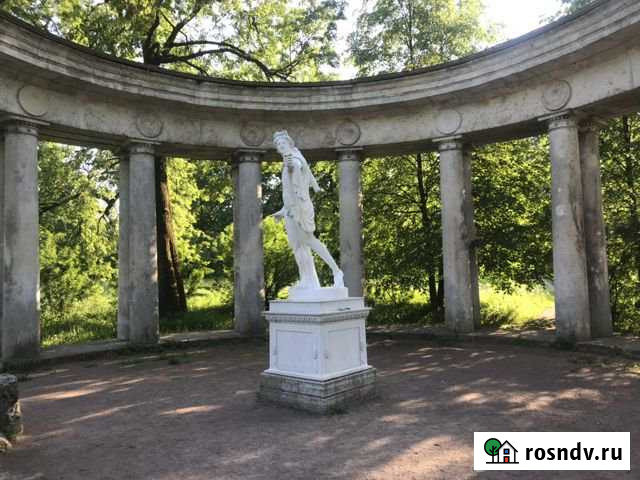 Участок ИЖС 12 сот. на продажу в Павловске Павловск - изображение 1