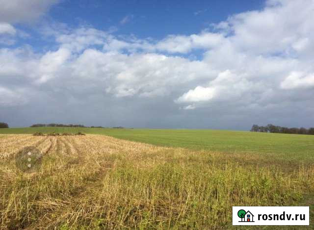 Участок СНТ, ДНП 1250 сот. на продажу в Грицовском Грицовский - изображение 1