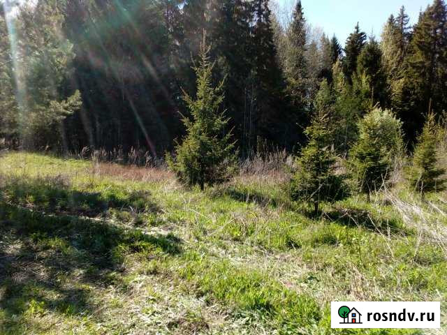 Участок СНТ, ДНП 13 сот. на продажу в Ижевске Ижевск - изображение 1