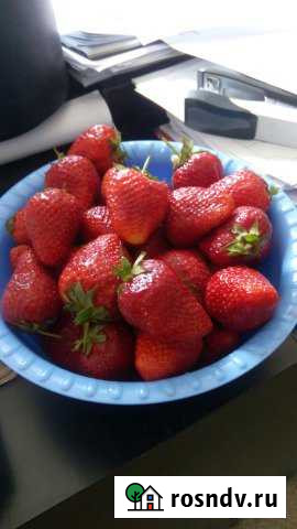 Участок СНТ, ДНП 13 сот. на продажу в Копейске Копейск - изображение 1