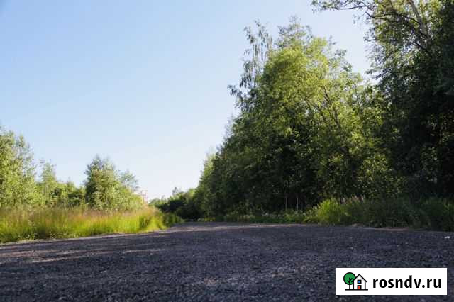 Участок СНТ, ДНП 13 сот. на продажу в Сестрорецке Сестрорецк - изображение 1