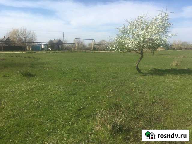 Участок ИЖС 14 сот. на продажу в Саратовской Саратовская - изображение 1