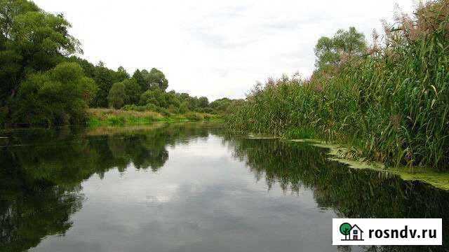 Участок ИЖС 15 сот. на продажу в Хлевном Хлевное - изображение 1