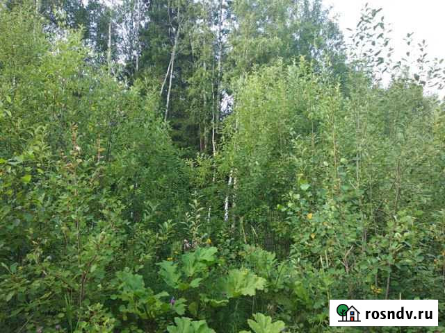 Участок ИЖС 15 сот. на продажу в Березниках Березники - изображение 1