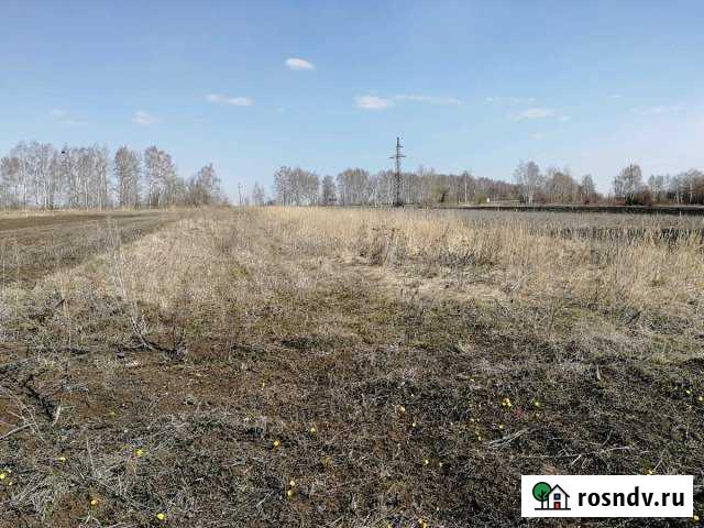 Участок СНТ, ДНП 15 сот. в аренду в Выездном Выездное - изображение 1