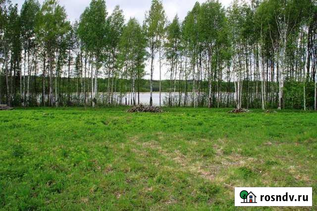 Участок СНТ, ДНП 15 сот. на продажу в Петрозаводске Петрозаводск - изображение 1