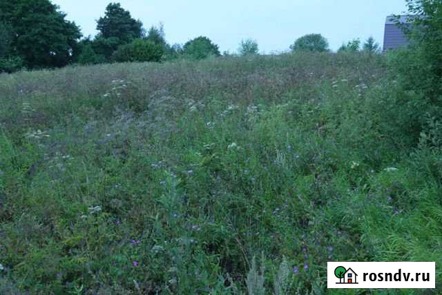 Участок СНТ, ДНП 15 сот. на продажу в Осташкове Осташков - изображение 1