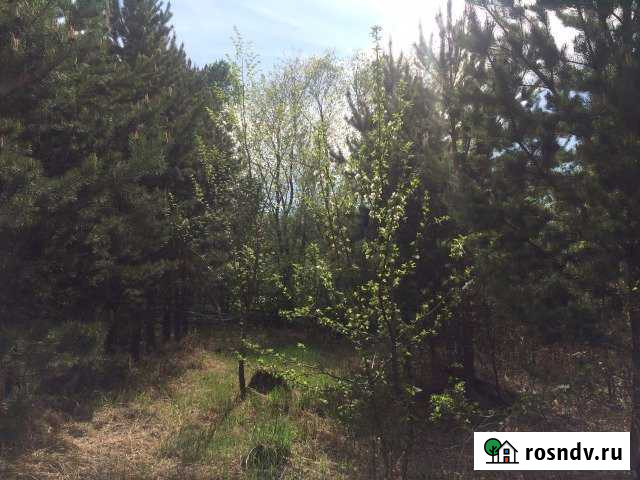 Участок СНТ, ДНП 16 сот. на продажу в Первомайском Челябинской области Первомайский - изображение 1