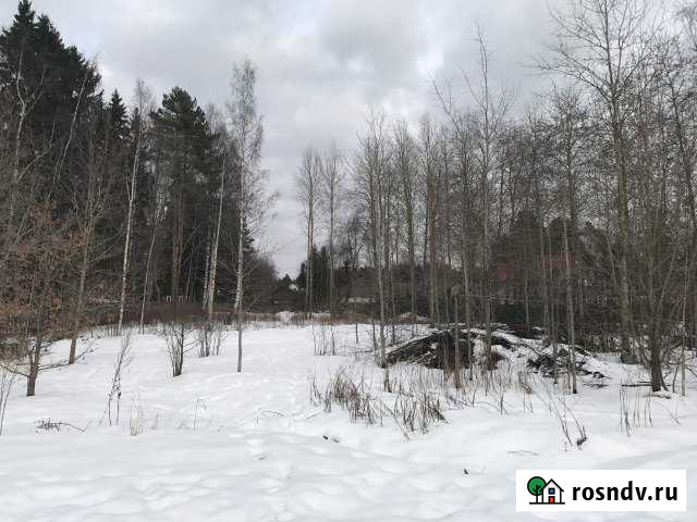 Участок ИЖС 16 сот. на продажу в Сестрорецке Сестрорецк - изображение 1