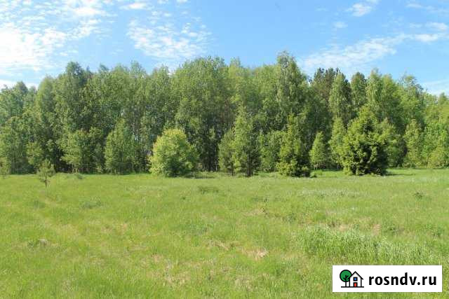 Участок ИЖС 17 сот. на продажу в Нижней Тавде Нижняя Тавда - изображение 1